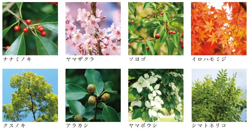 ブランシエラ宮崎