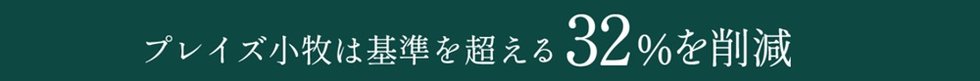 プレイズ小牧