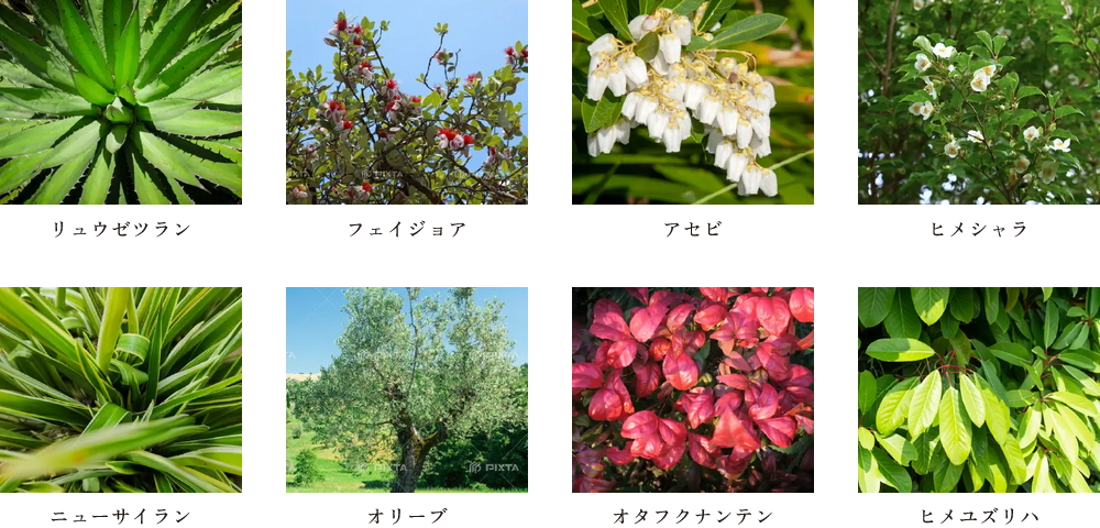 ダイアパレス土橋駅前