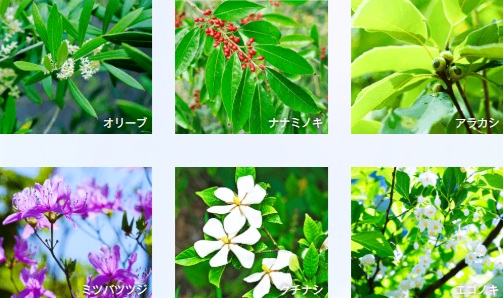 パークホームズたまプラーザ　ヒルサイドコート