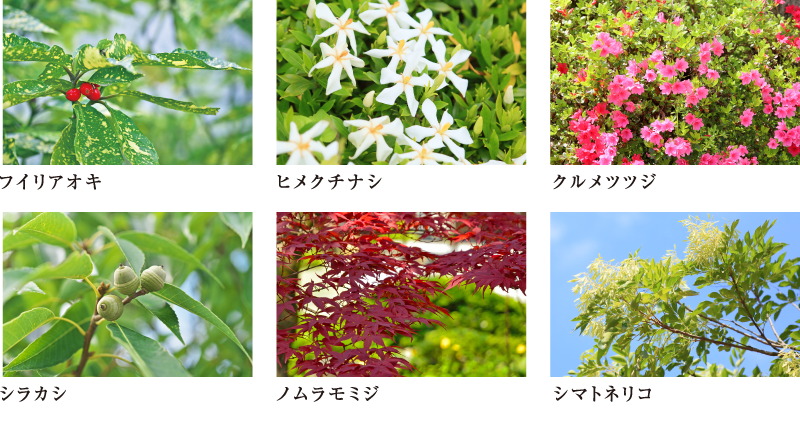 ポレスター大和ステーションビュー