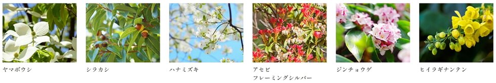 レーベン光が丘 GLOW GARDEN
