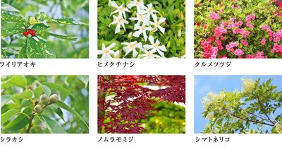 ポレスター大和ステーションビュー