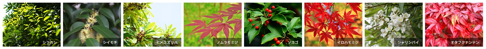 ファインレジデンス川越八幡通り