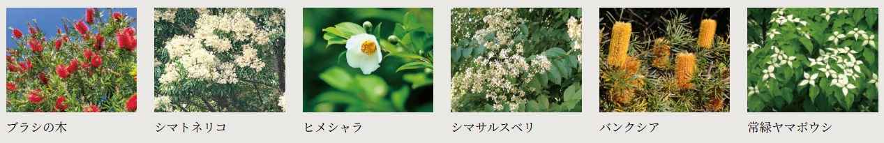 ヴェレーナ松戸レジデンス