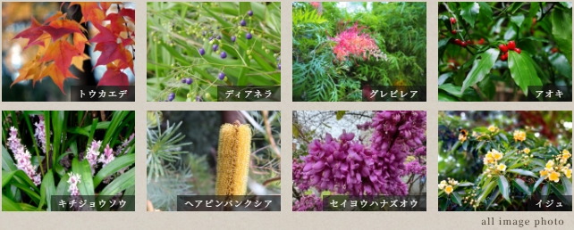 ルジェンテ横濱馬車道