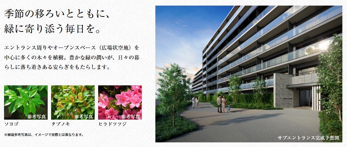 シティテラス志木