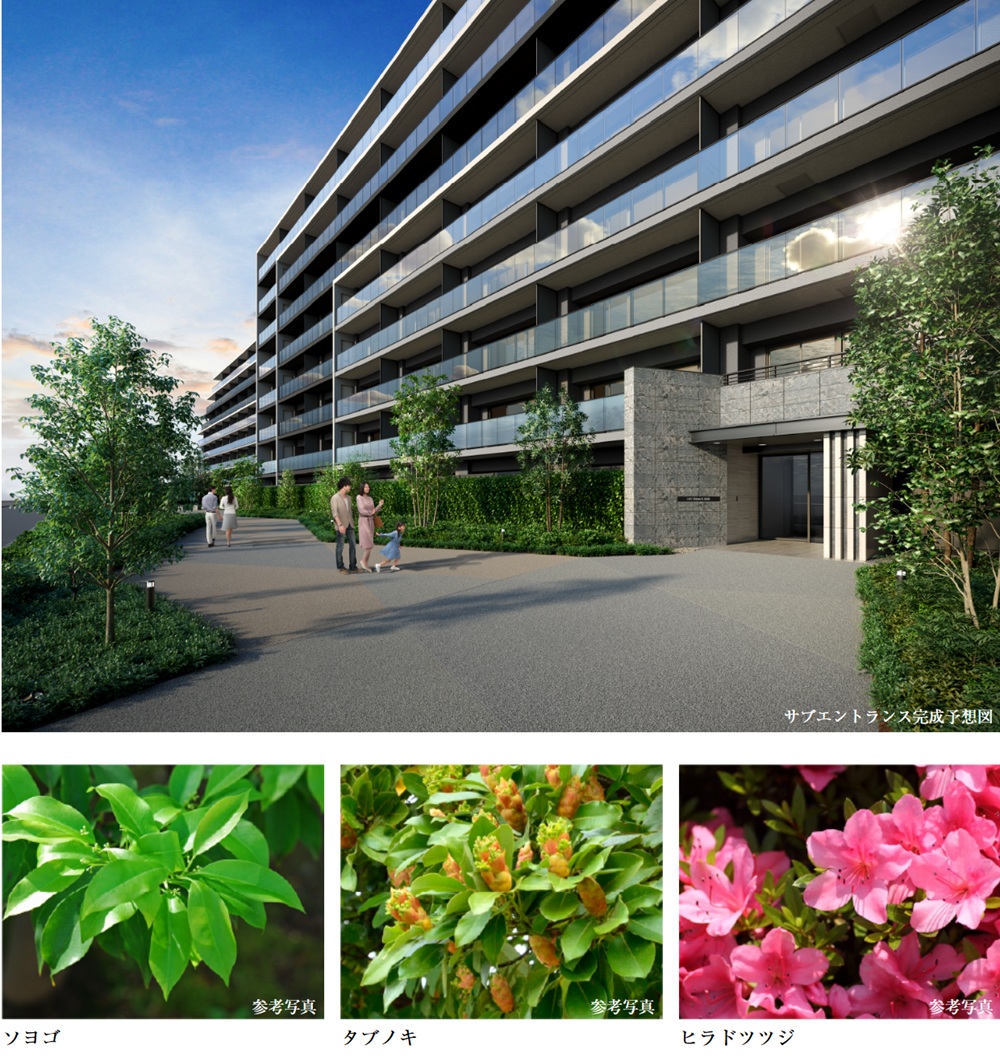 シティテラス志木