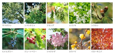 プレミストタワー大分