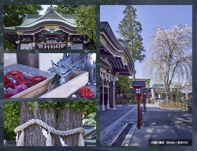 ファインレジデンス川越八幡通り