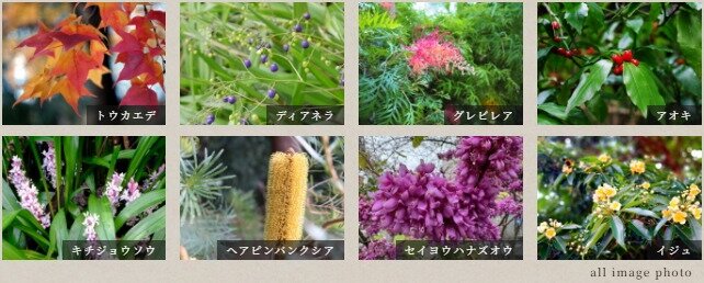 ルジェンテ横濱馬車道