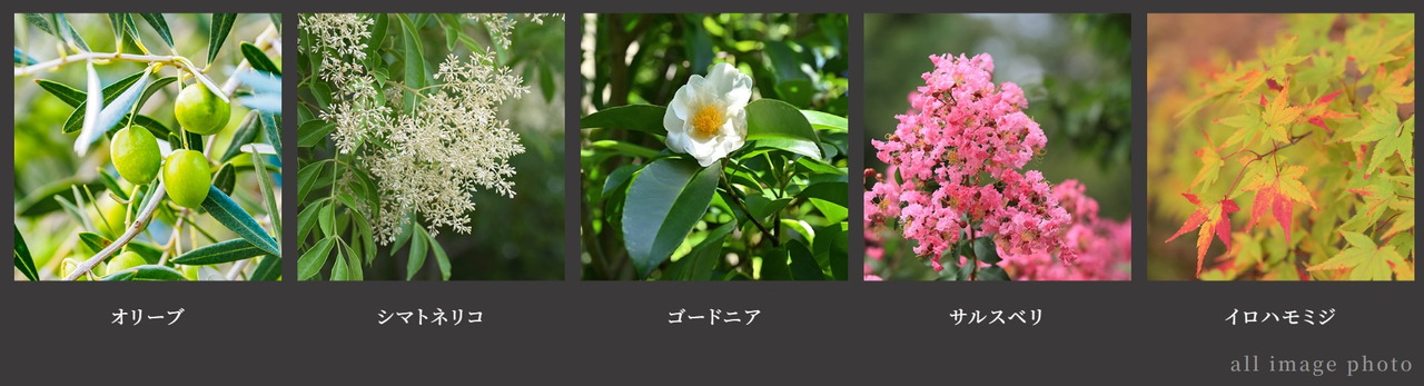 イノベイシア恵比寿