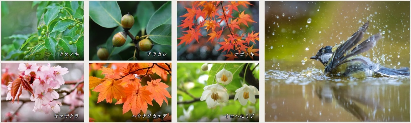 プレミストつくば研究学園