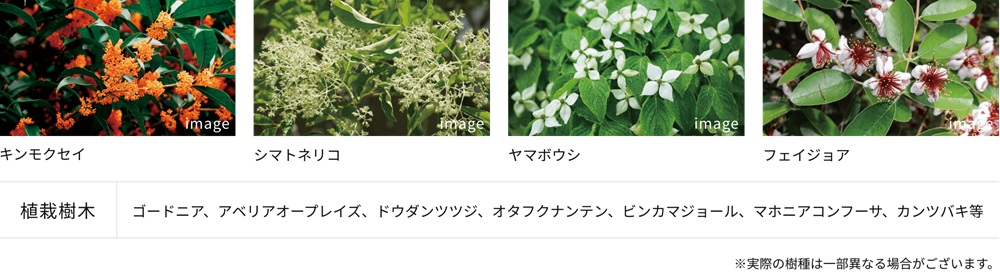 アルフィーネ志免中央