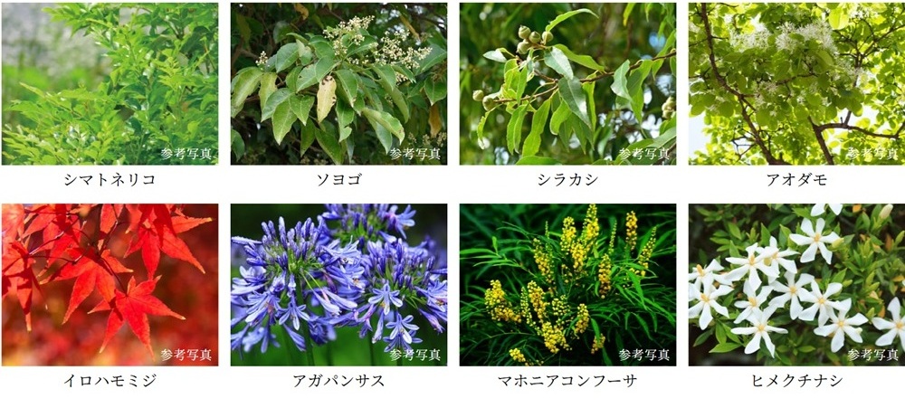 モアグレース一宮アリーナ