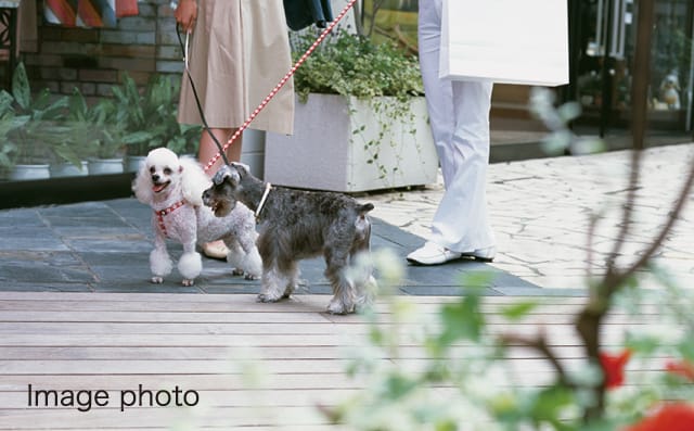 ロイヤルガーデン吉野本町 ザ・レジデンス