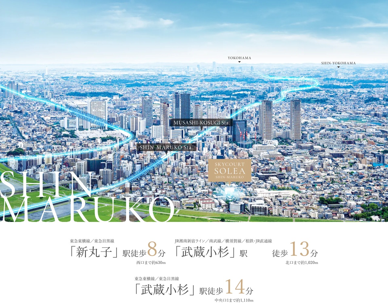 スカイコートソレア新丸子