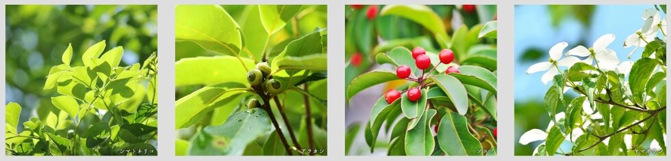 ガーラ・レジデンス南浦和プルミエ