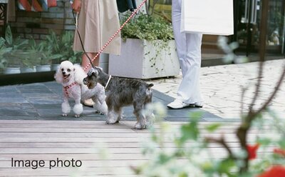 ロイヤルガーデン吉野本町 ザ・レジデンス