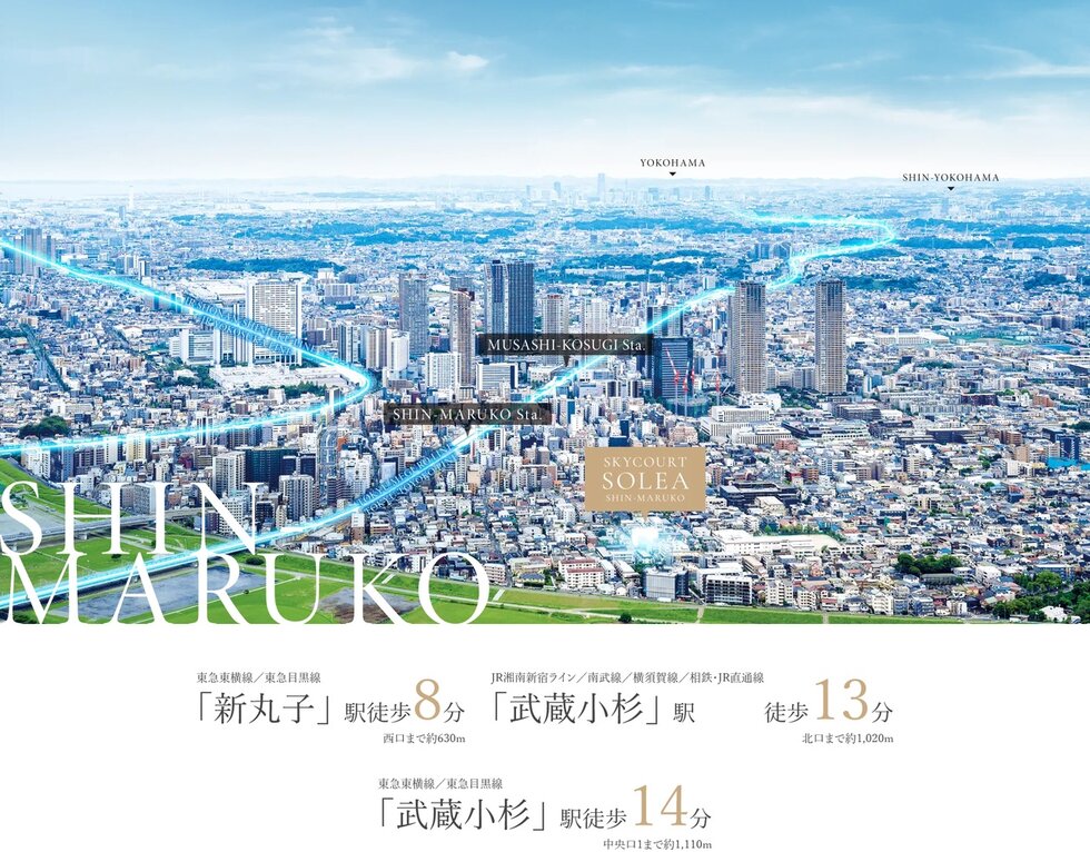 スカイコートソレア新丸子