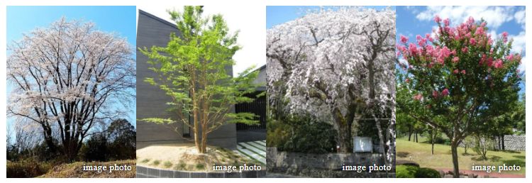 ブランズシティ船橋ビアレ