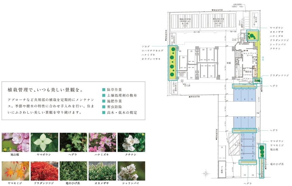 グリーンヒル別府石垣東パークフロント