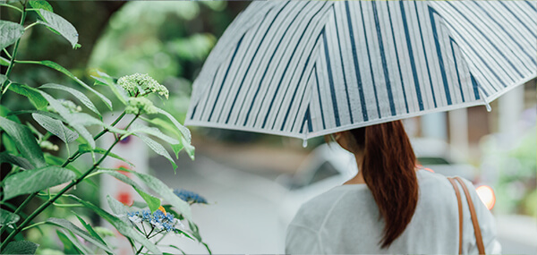 ヴィークコート小手指