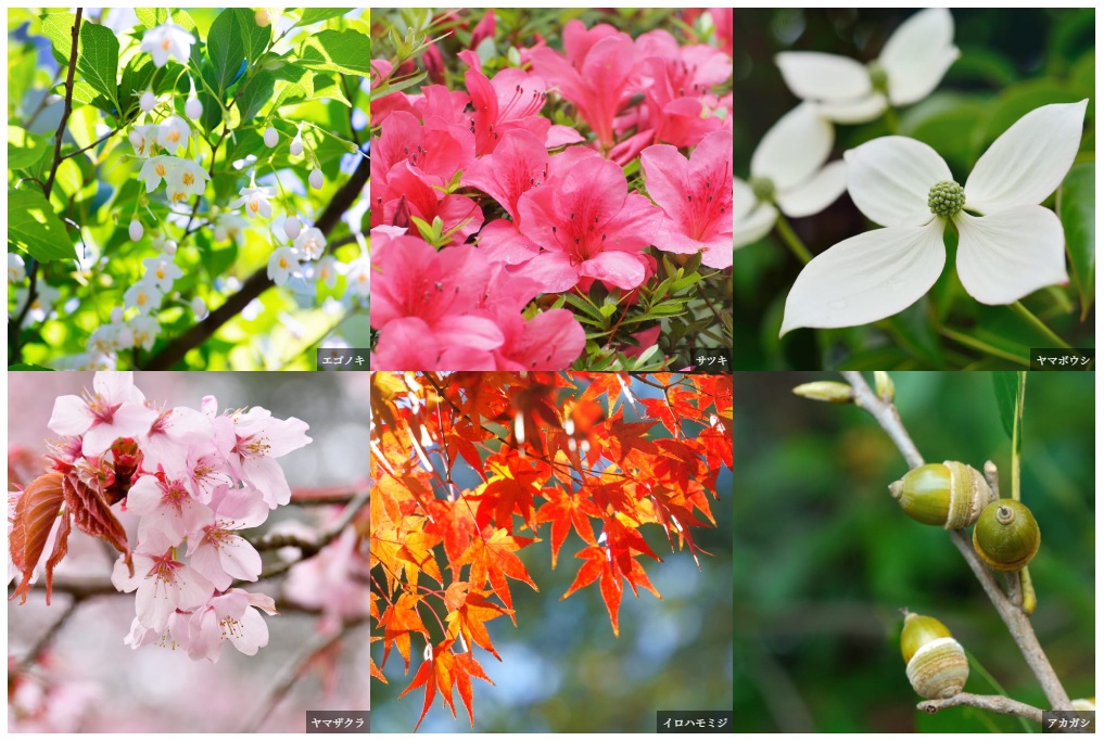 プラウド弦巻ガーデンテラス