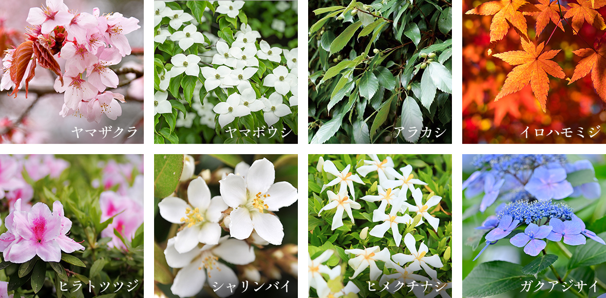 プラウド住吉本町一丁目