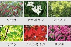 ポレスター佐久平駅南ガーデンテラス