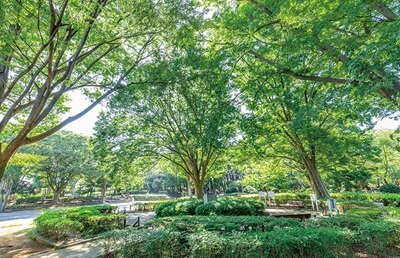 リビオシティ船橋北習志野ミッドレジデンス