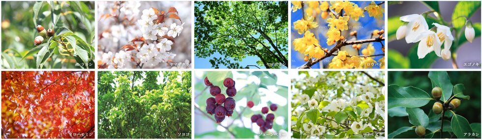 リビオシティ船橋北習志野ミッドレジデンス