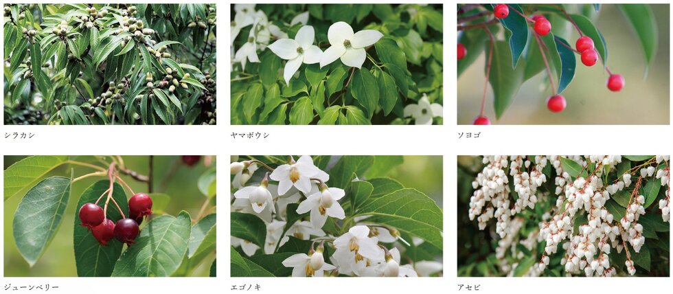 ヴィークコート小手指