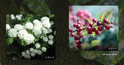 プレミスト代沢 Hillside Forest