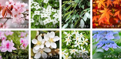 プラウド住吉本町一丁目