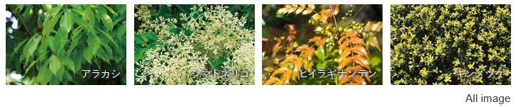 ガーラ・レジデンス藤沢