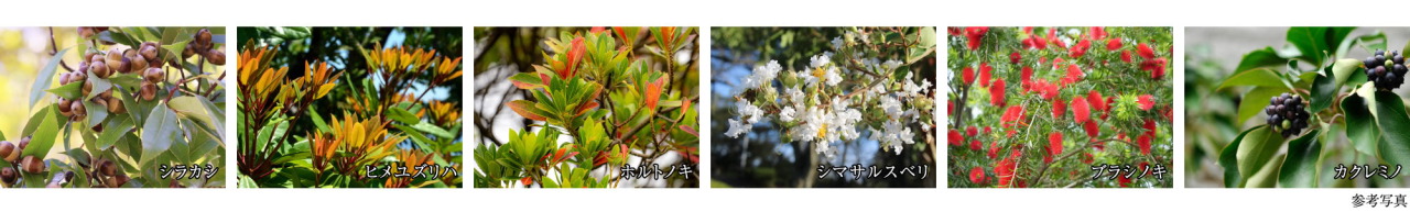 パークホームズ横浜ミッドスクエア