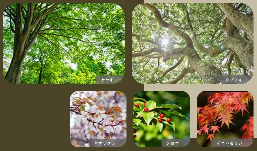 プラウドタワー赤羽