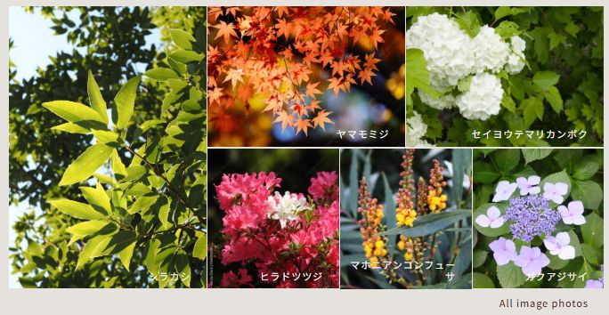 ザ・ライオンズ南浦和