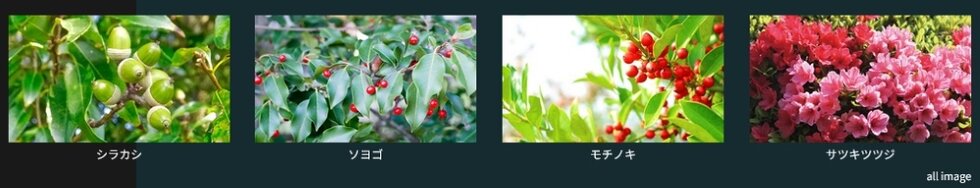 ハイムスイート新狭山