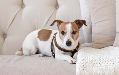 ガーラ・レジデンス藤沢