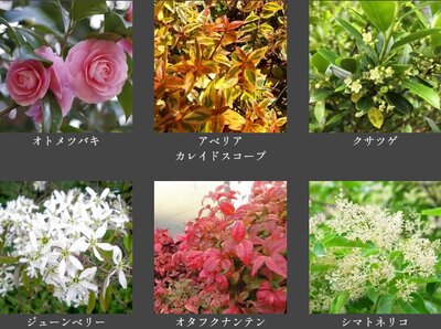 ドルチェヴィータグラン神戸甲南