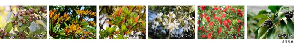 パークホームズ横浜ミッドスクエア