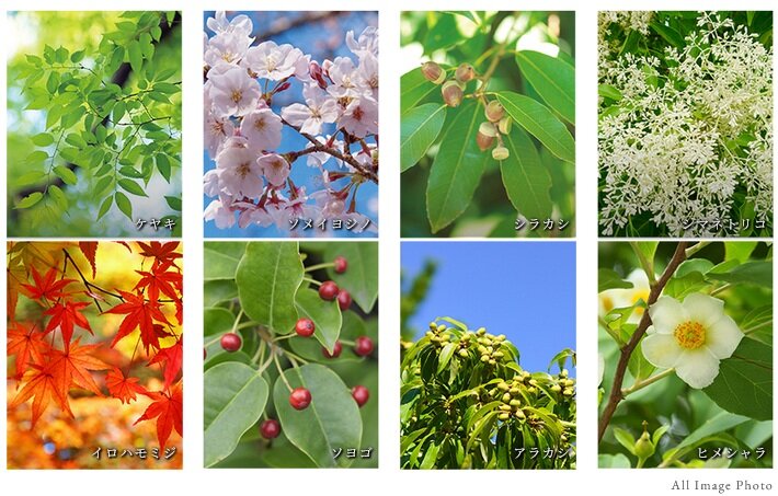 ソライエ若葉レジデンスプレミア