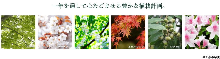 パークホームズ市が尾ブライトアベニュー