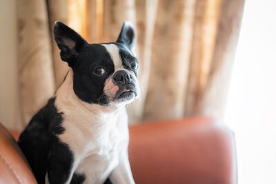 アーバンパレットORIENS南上原