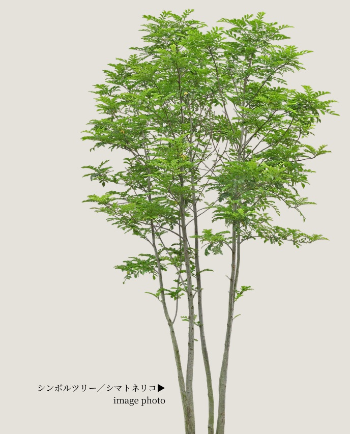 ソルプレサンス 阿倍野美章園