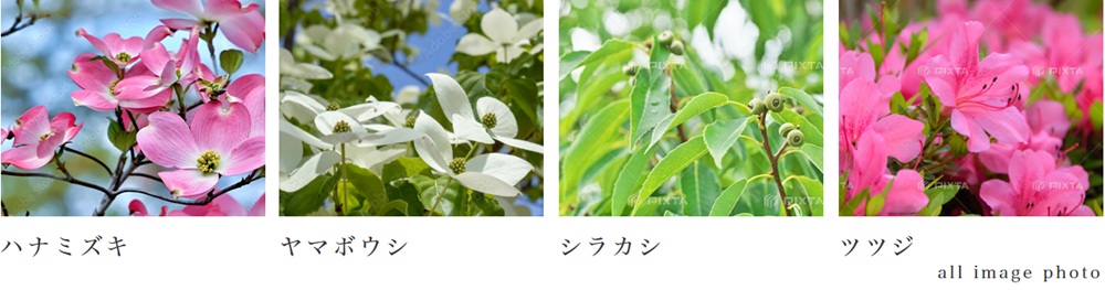 サンクレイドル川越パークフロント