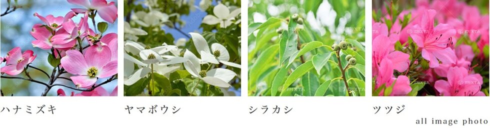 サンクレイドル川越パークフロント