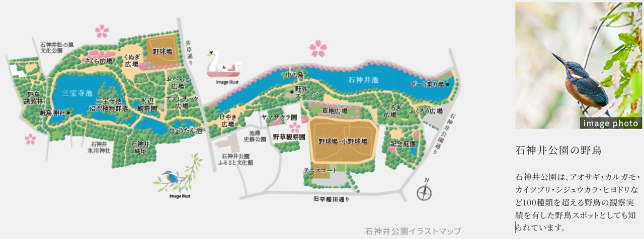 イノバス石神井公園